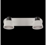 Светильник поворотный спот Freya FR5258-WL-02-W Marina