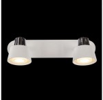 Светильник поворотный спот Freya FR5258-WL-02-W Marina