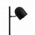 Напольный светильник (торшер) Freya FR5279FL-L7B