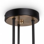 Потолочный светильник Freya FR5377CL-06B Bogy