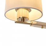 Настенный светильник (бра) Freya FR5386WL-01G Pipe