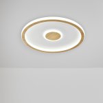 Потолочный светильник Freya FR5421CL-L80BG