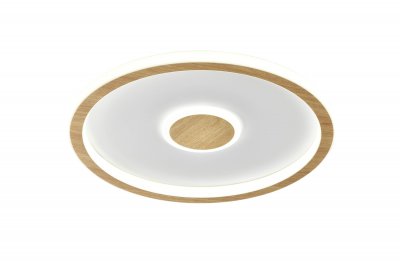 Потолочный светильник Freya FR5421CL-L80BG