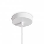 Подвесной светильник Freya FR5530PL-01W