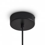 Подвесной светильник Freya FR5541PL-L5B