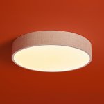 Потолочный светильник Freya FR5555CL-L30BGG