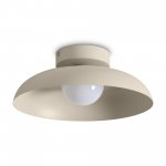 Потолочный светильник Freya FR5602CL-L10W