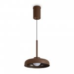 Подвесной светильник Freya FR5602PL-L5BR