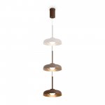 Подвесной светильник Freya FR5602PL-L5BR