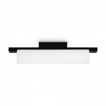 Потолочный светильник Freya FR5625CL-L20B