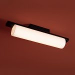 Потолочный светильник Freya FR5625CL-L20B