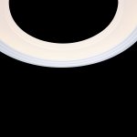 Потолочный светильник Freya FR6010CL-L51W Blis