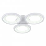 Потолочный светильник Freya FR6010CL-L51W Blis