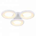 Потолочный светильник Freya FR6010CL-L51W Blis