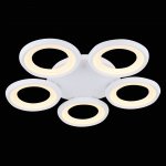 Потолочный светильник Freya FR6010CL-L82W Blis