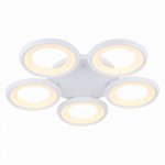 Потолочный светильник Freya FR6010CL-L82W Blis