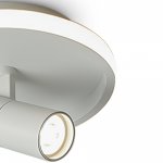 Потолочный светильник Freya FR6040CL-L14W