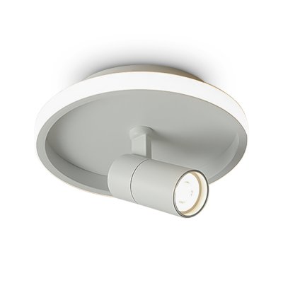 Потолочный светильник Freya FR6040CL-L14W Потолочный светильник Freya FR6040CL-L14W