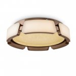 Потолочный светильник Freya FR6041CL-L92W Ethan