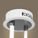 Потолочный светильник Freya FR6059CL-L45W