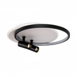 Потолочный светильник Freya FR6083CL-L106WB