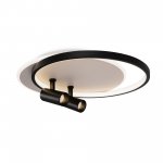 Потолочный светильник Freya FR6083CL-L106WB