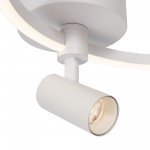 Потолочный светильник Freya FR6083CL-L32W