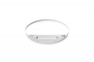 Потолочный светильник Freya FR6084CL-L68W