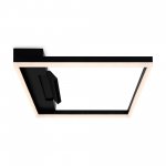 Потолочный светильник Freya FR6084CL-L82B