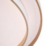 Потолочный светильник Freya FR6085CL-L72WG