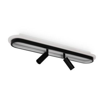 Потолочный светильник Freya FR6088CL-L48B