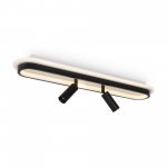 Потолочный светильник Freya FR6088CL-L48B