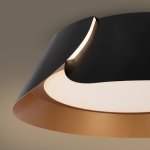 Потолочный светильник Freya FR6092CL-L72GB