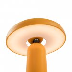 Аккумуляторный светильник Freya FR6109TL-L4OR