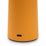 Аккумуляторный светильник Freya FR6109TL-L4OR