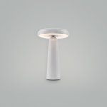 Аккумуляторный светильник Freya FR6109TL-L4W