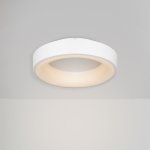 Потолочный светильник Freya FR6118CL-L45W