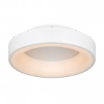 Потолочный светильник Freya FR6118CL-L45W