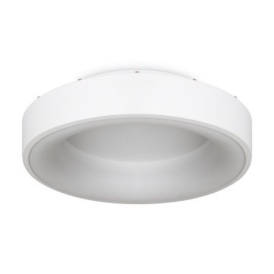 Потолочный светильник Freya FR6118CL-L45W