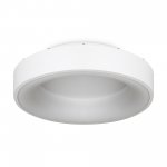 Потолочный светильник Freya FR6118CL-L45W