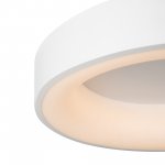 Потолочный светильник Freya FR6118CL-L45W