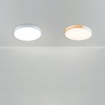 Потолочный светильник Freya FR6129CL-L80GR