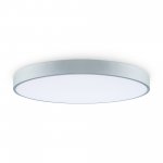 Потолочный светильник Freya FR6129CL-L80GR