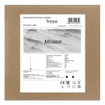 Напольный светильник (торшер) Freya FR6148FL-L36B
