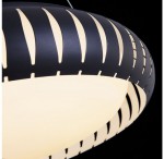 Подвесной светильник Freya FR6159-PL-24W-B Assanta