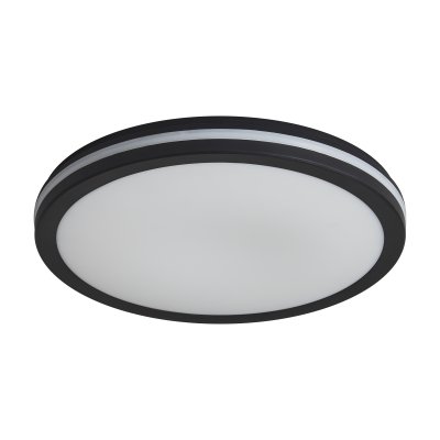Потолочный светильник Freya FR6160CL-L40B