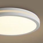 Потолочный светильник Freya FR6160CL-L40W