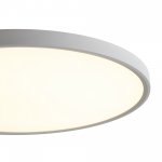 Потолочный светильник Freya FR6161CL-L40W