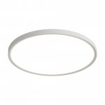 Потолочный светильник Freya FR6161CL-L40W