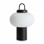 Настольный светильник Freya FR6175TL-L10B Take